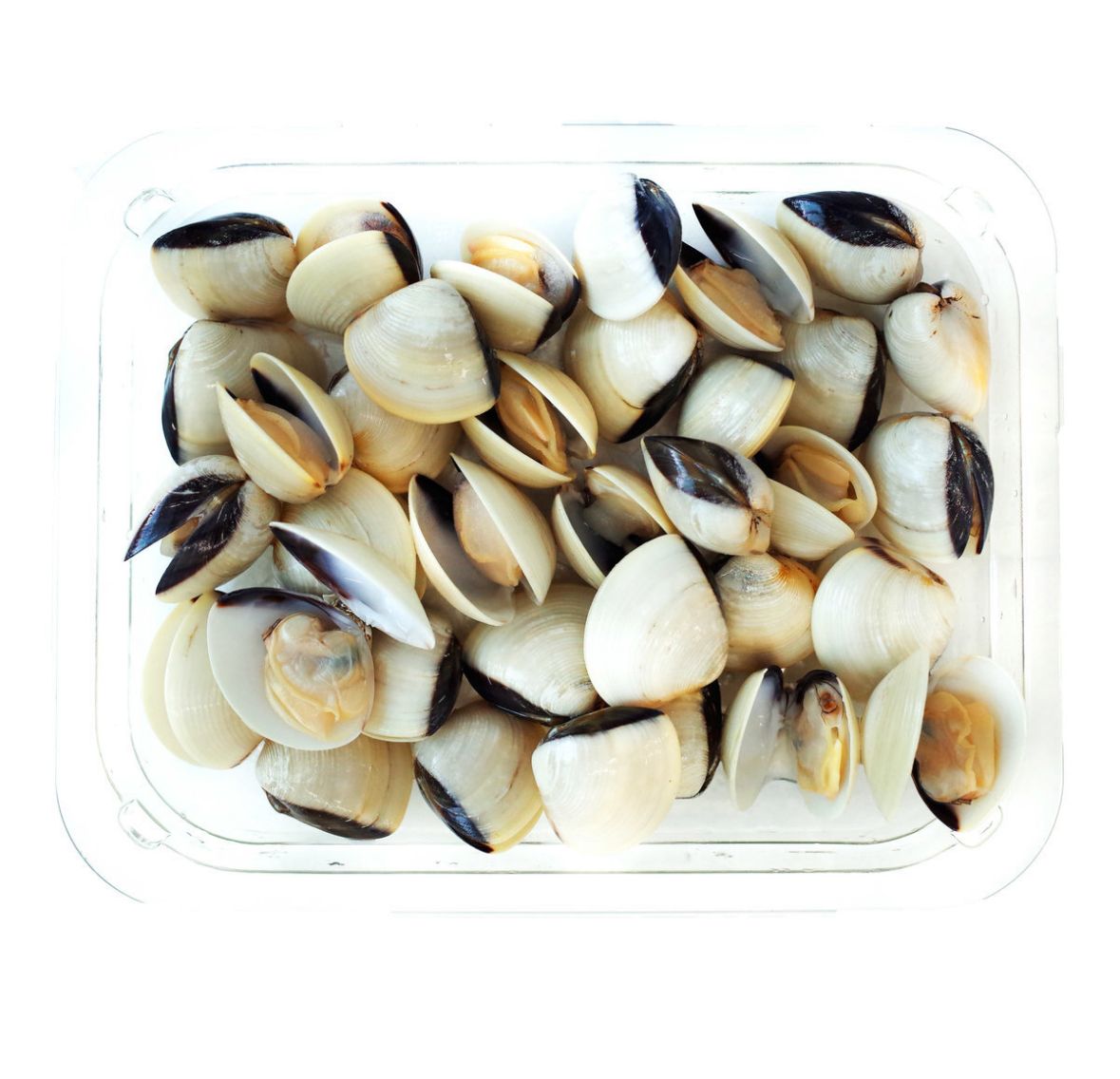 500G 原隻熟白蜆